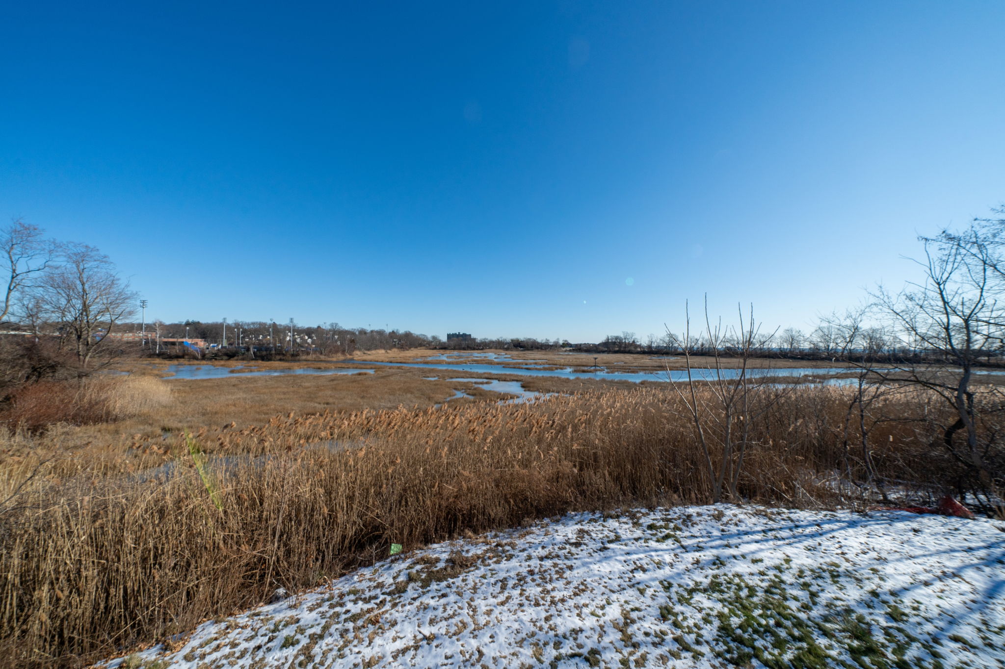  75 Platt Ave, West Haven, CT 06516, US Photo 67