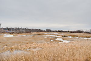  75 Platt Ave, West Haven, CT 06516, US Photo 75