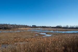  75 Platt Ave, West Haven, CT 06516, US Photo 64