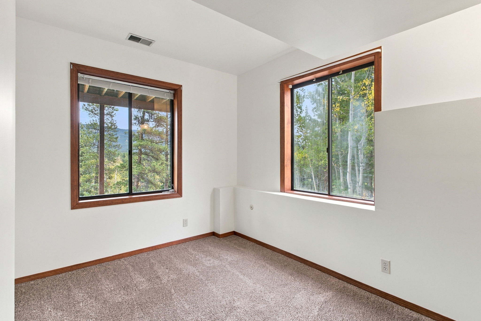 Lower Level Private Bedroom