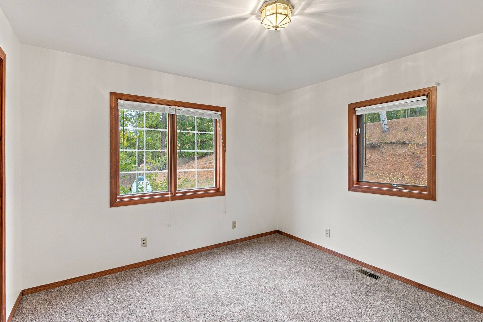 Main Level 2nd Bedroom