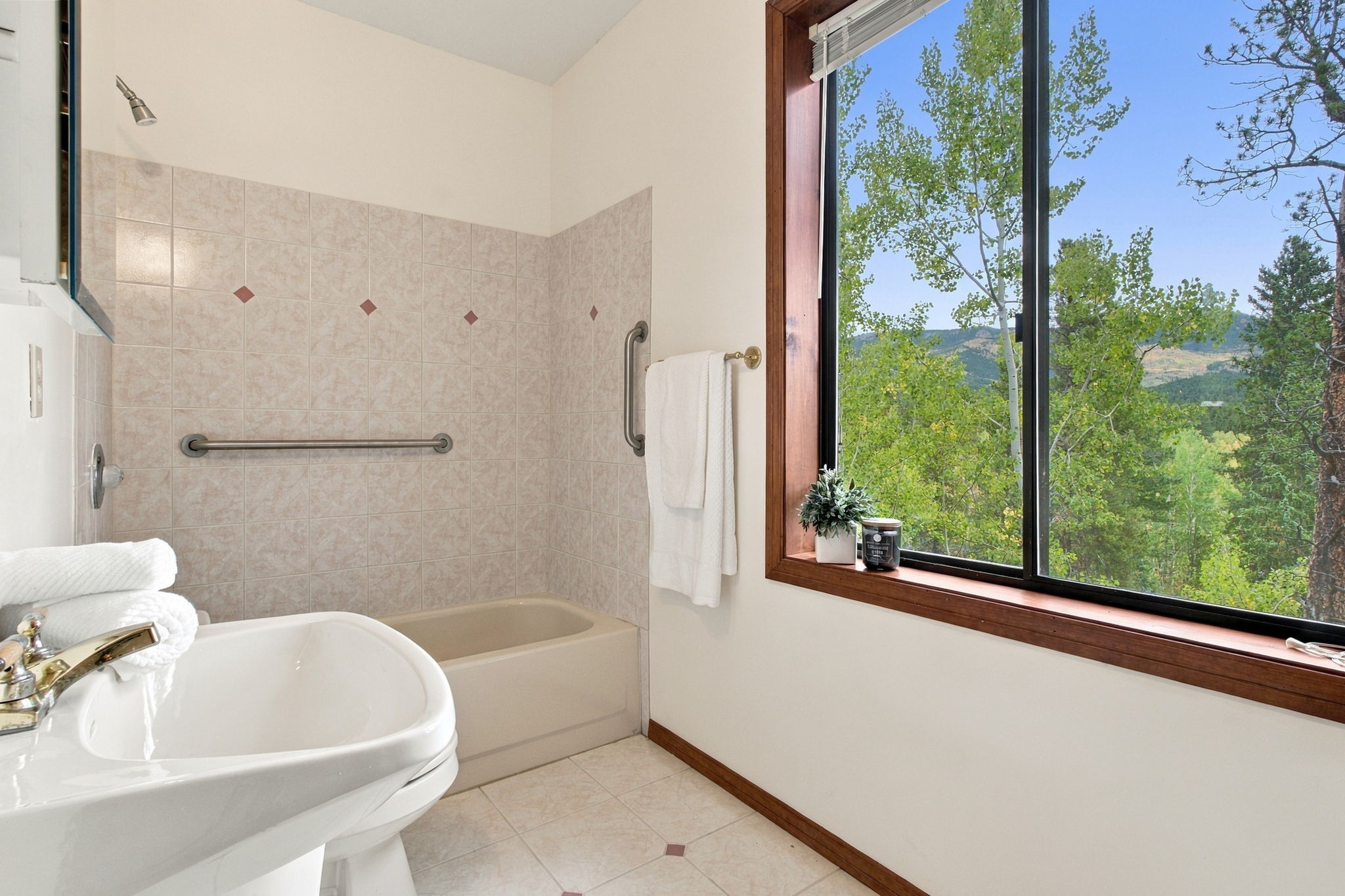 Lower Level Full Bathroom