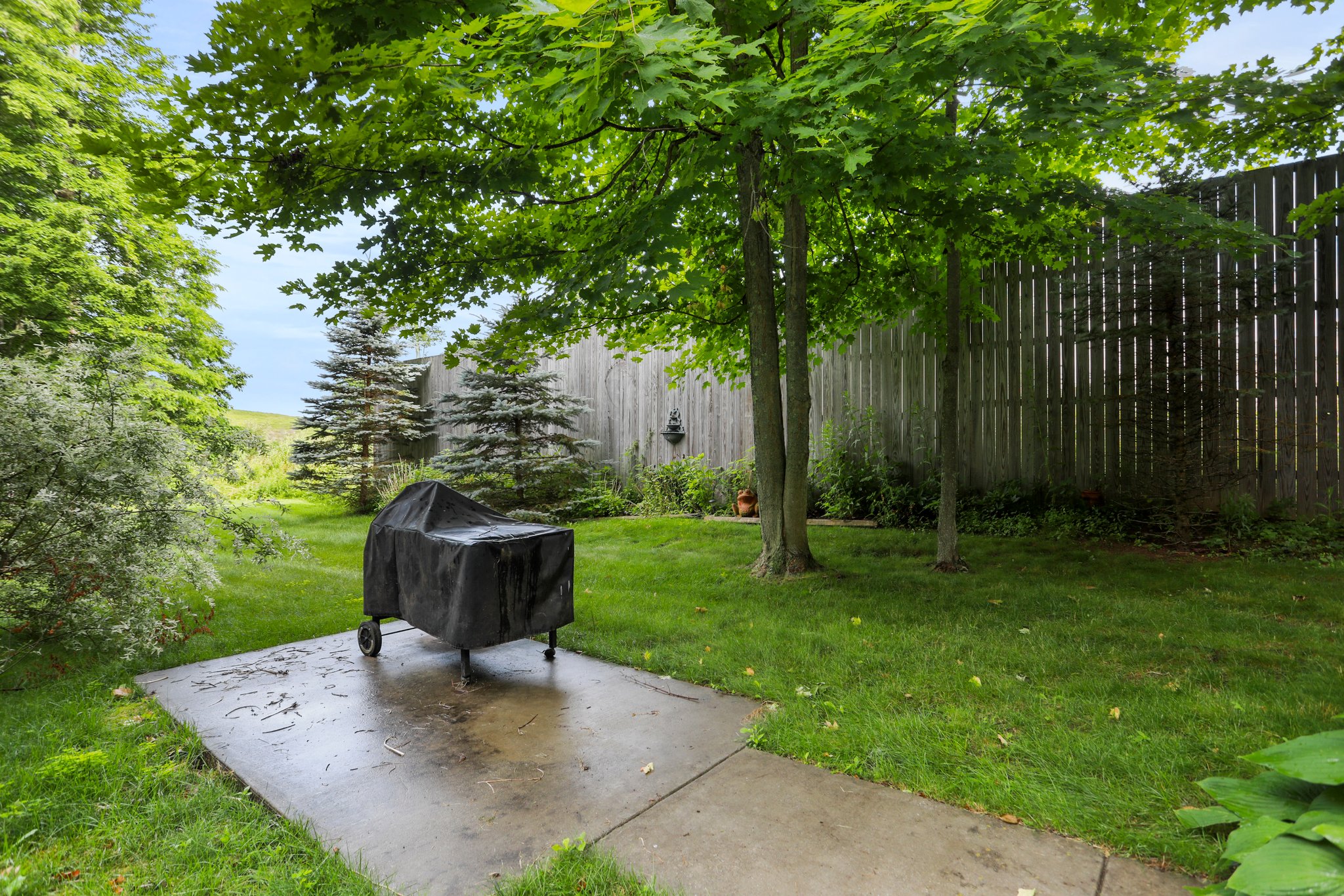 75 Sugar Maple Ln, McHenry, MD 21541, USA Photo 45