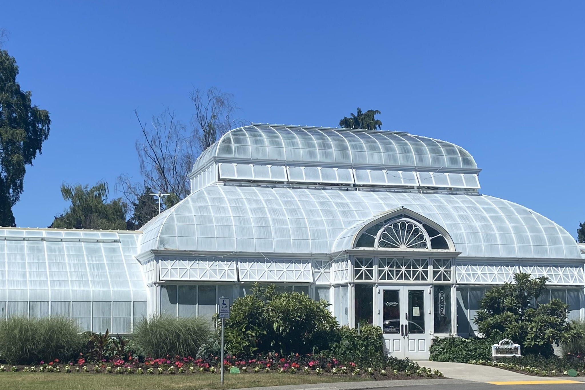 Connect with nature at the historic Volunteer Park conservatory