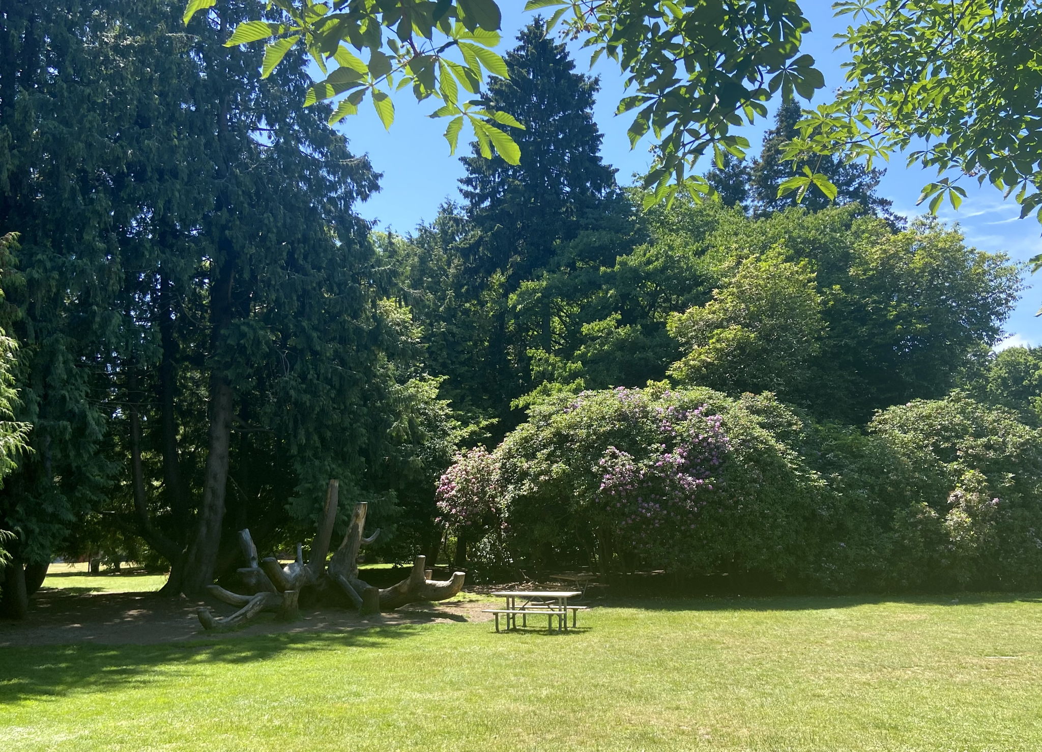 Enjoy a picnic at beautiful Volunteer Park that is a few blocks away from the home
