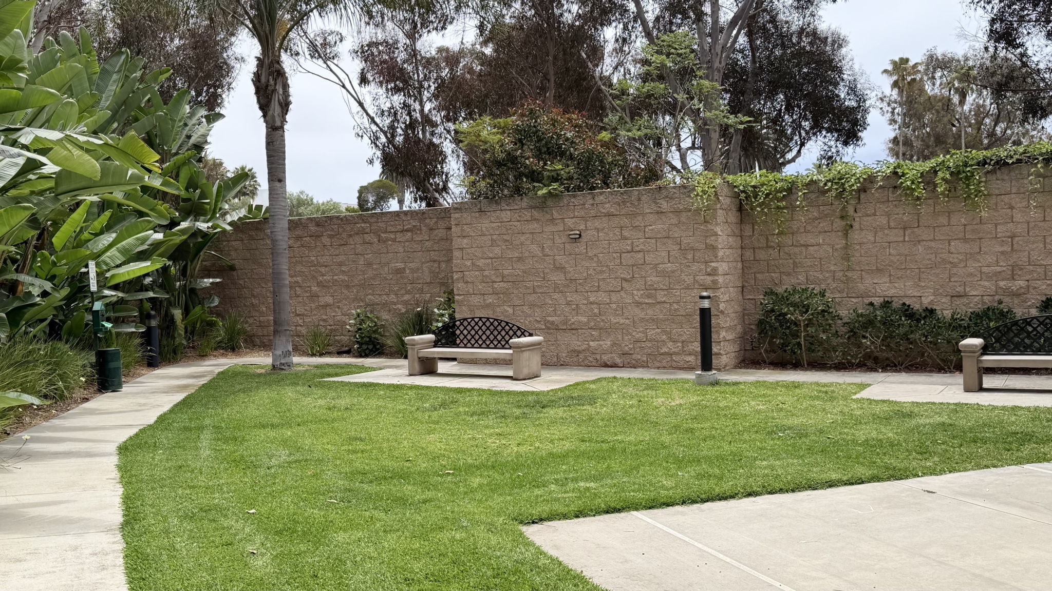  Photo 49