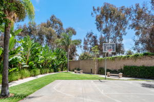  Photo 49