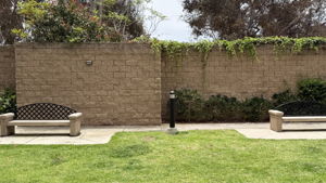  Photo 52