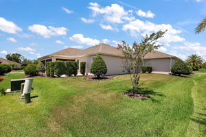 Left/Rear Elevation