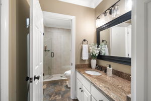 Guest Suite Bathroom