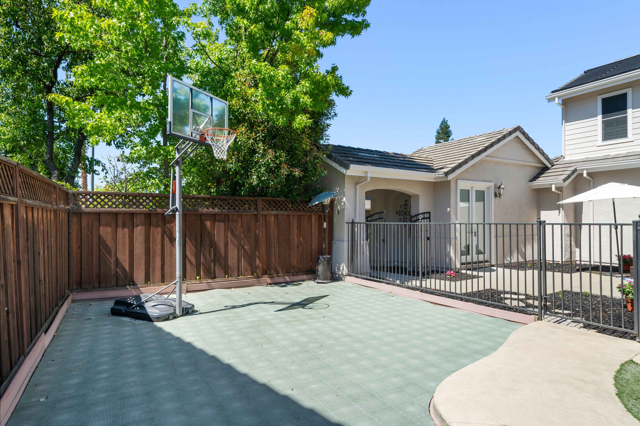 Photo 55