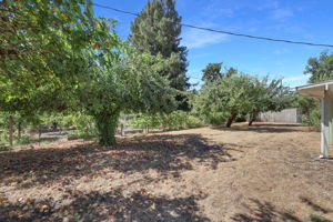 Photo 49