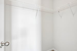 Bolero Ct-S2710-028.jpg