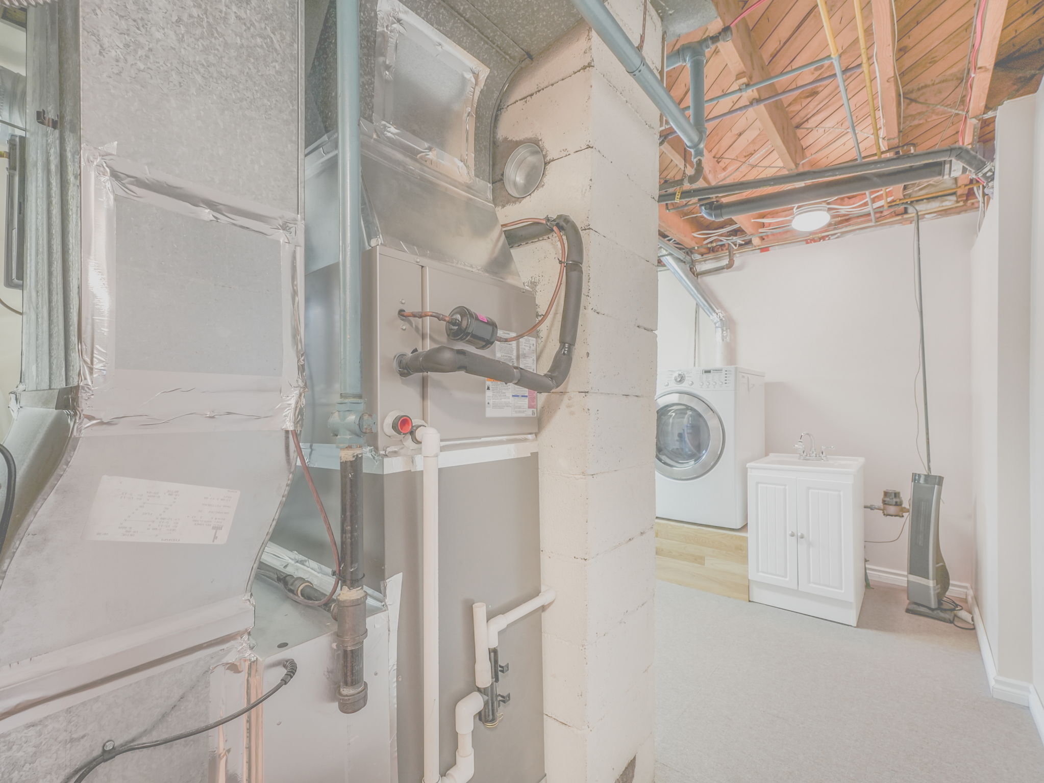  Photo 63