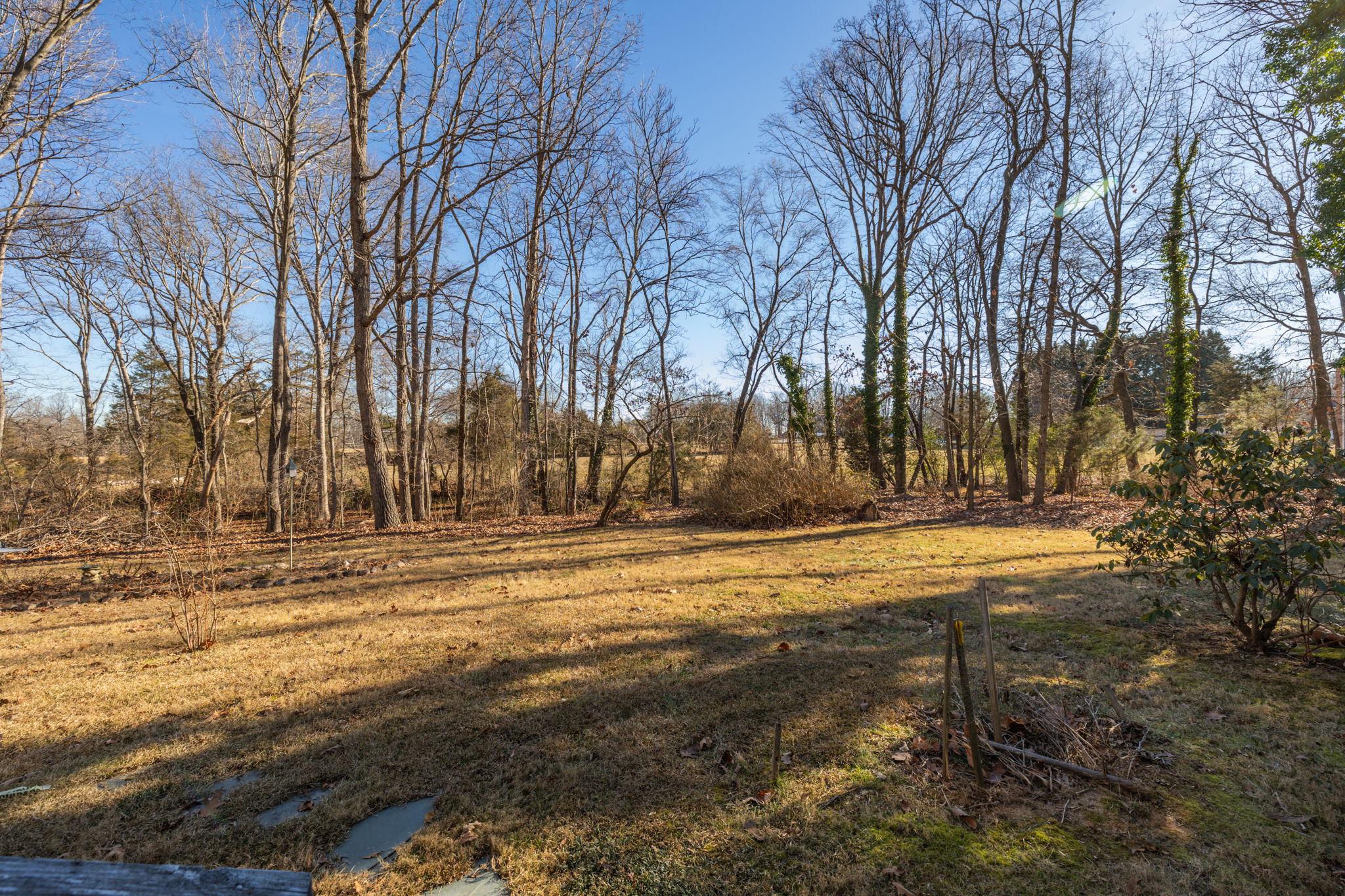 7508 Center Grove Ct-25