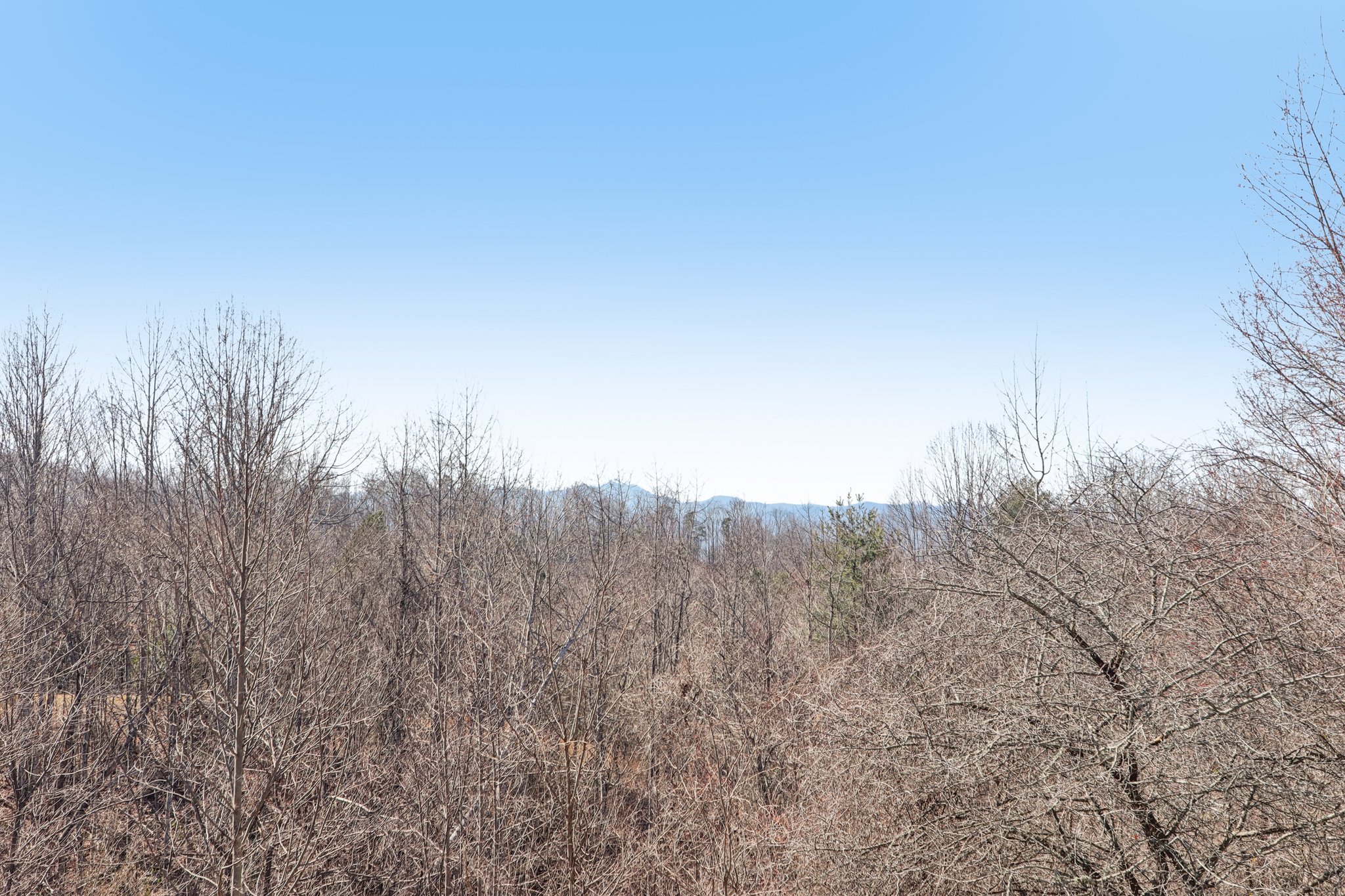 Hutch Mountain Rd-S0103-039.jpg