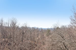 Hutch Mountain Rd-S0103-039.jpg