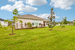 Ashbrooke Pine Lp-S1208-040.jpg