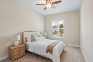 Ashbrooke Pine Lp-S1308-003.jpg