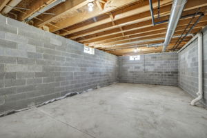  Photo 51