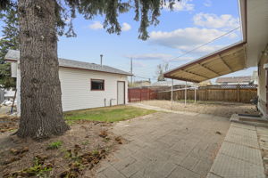  Photo 46
