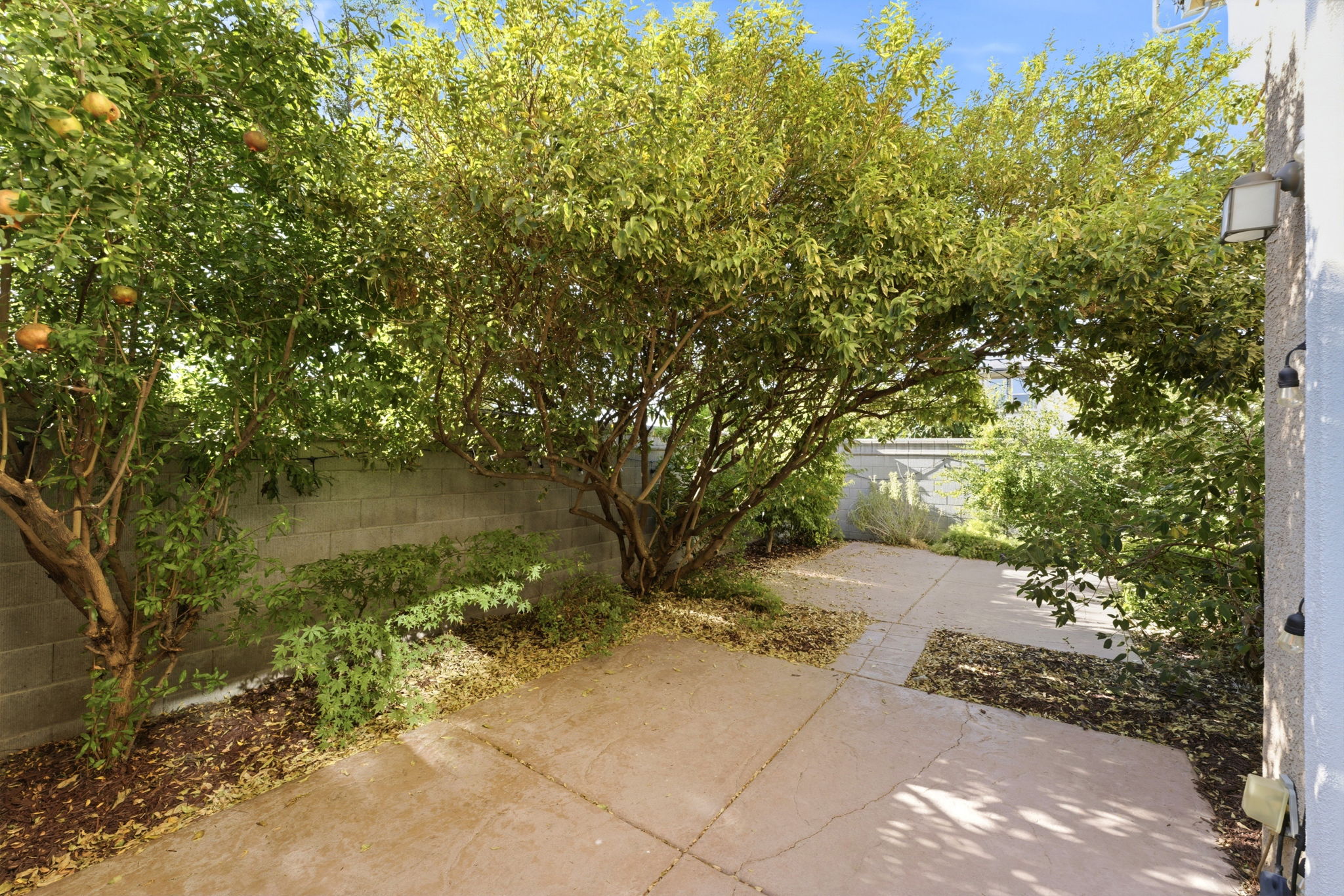 042_F8_7515 Sheldon Rd