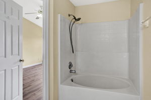 master bathroom tub