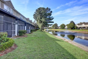 Back Yard/ Lake