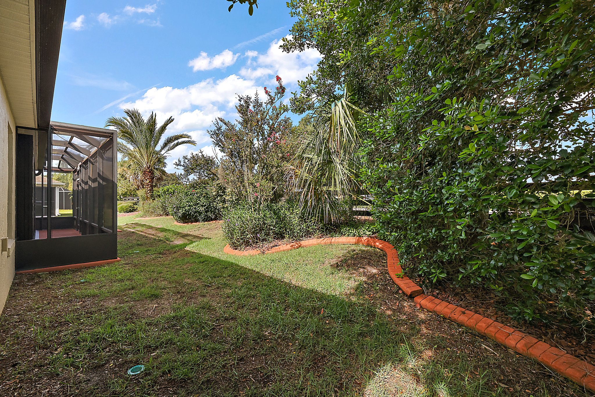 Rear PRIVACY Landscaping