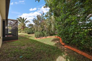 Rear PRIVACY Landscaping