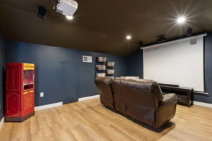 Theatre Room