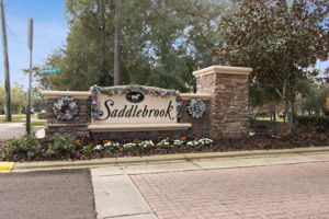 Saddlebrook