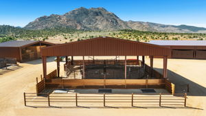 Hot Walker and Wash Station