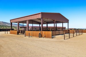 Hot Walker and Wash Station