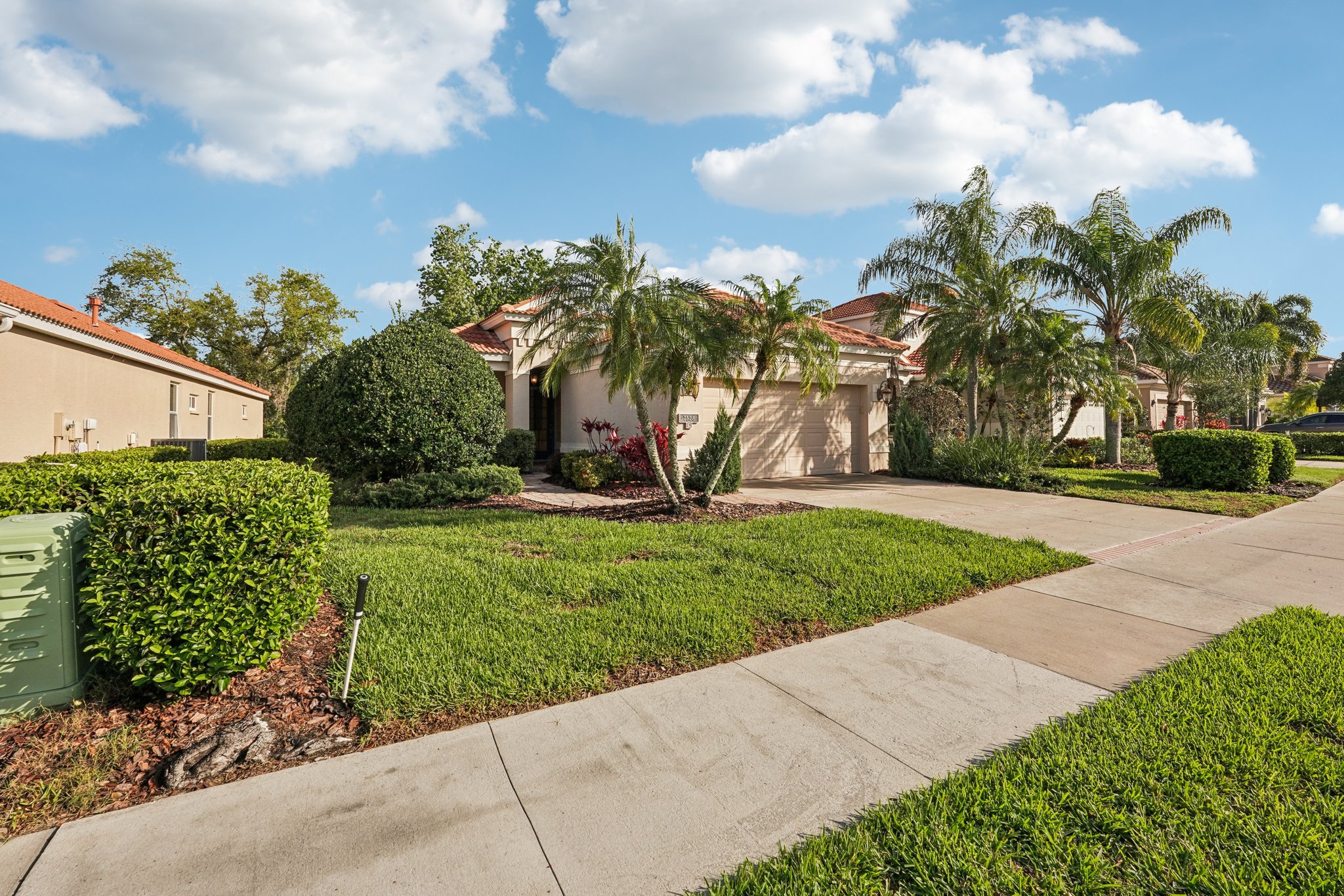 Birds Eye Ter-S1503-002.jpg