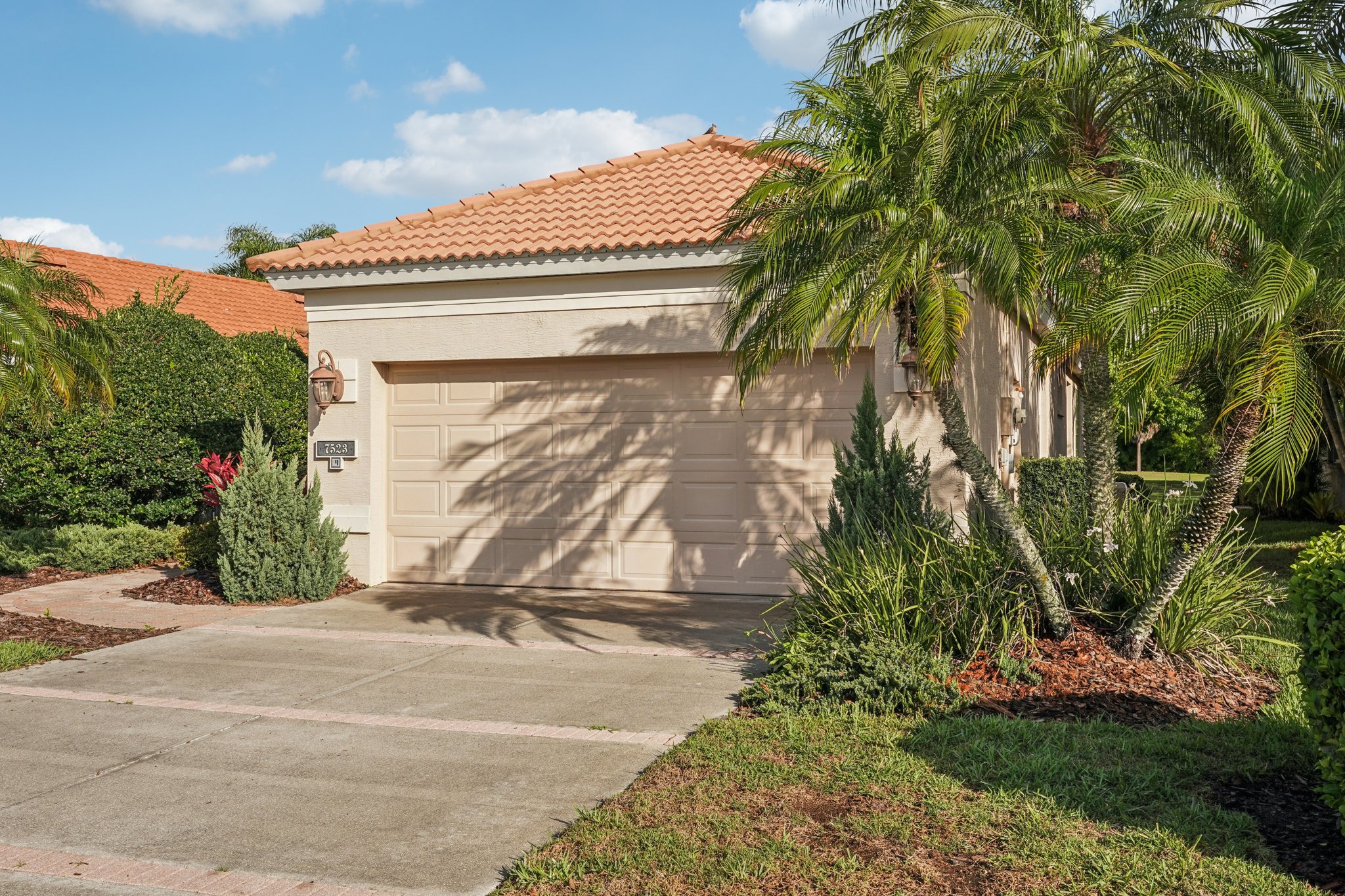 Birds Eye Ter-S1503-005.jpg