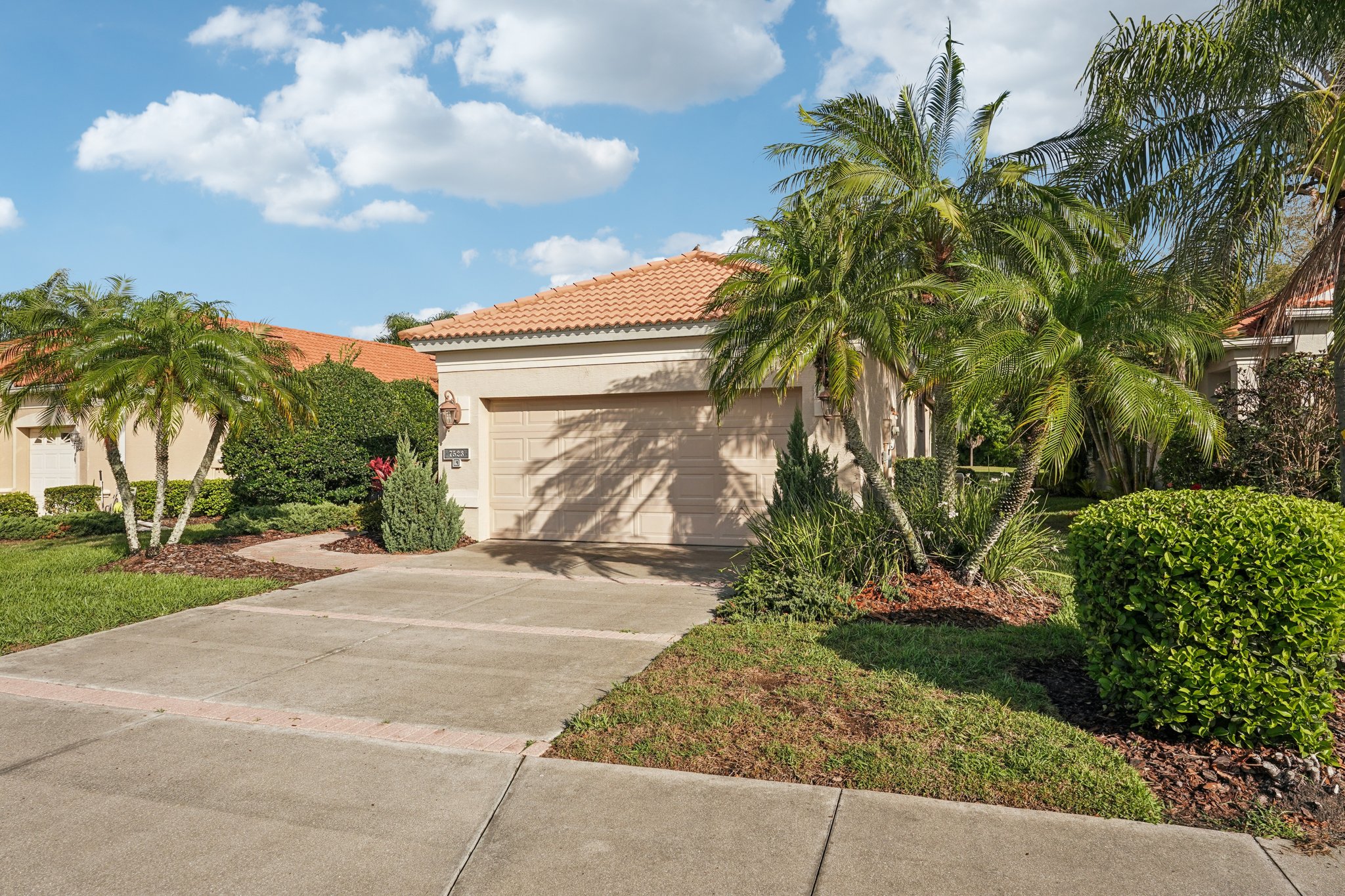 Birds Eye Ter-S1503-006.jpg