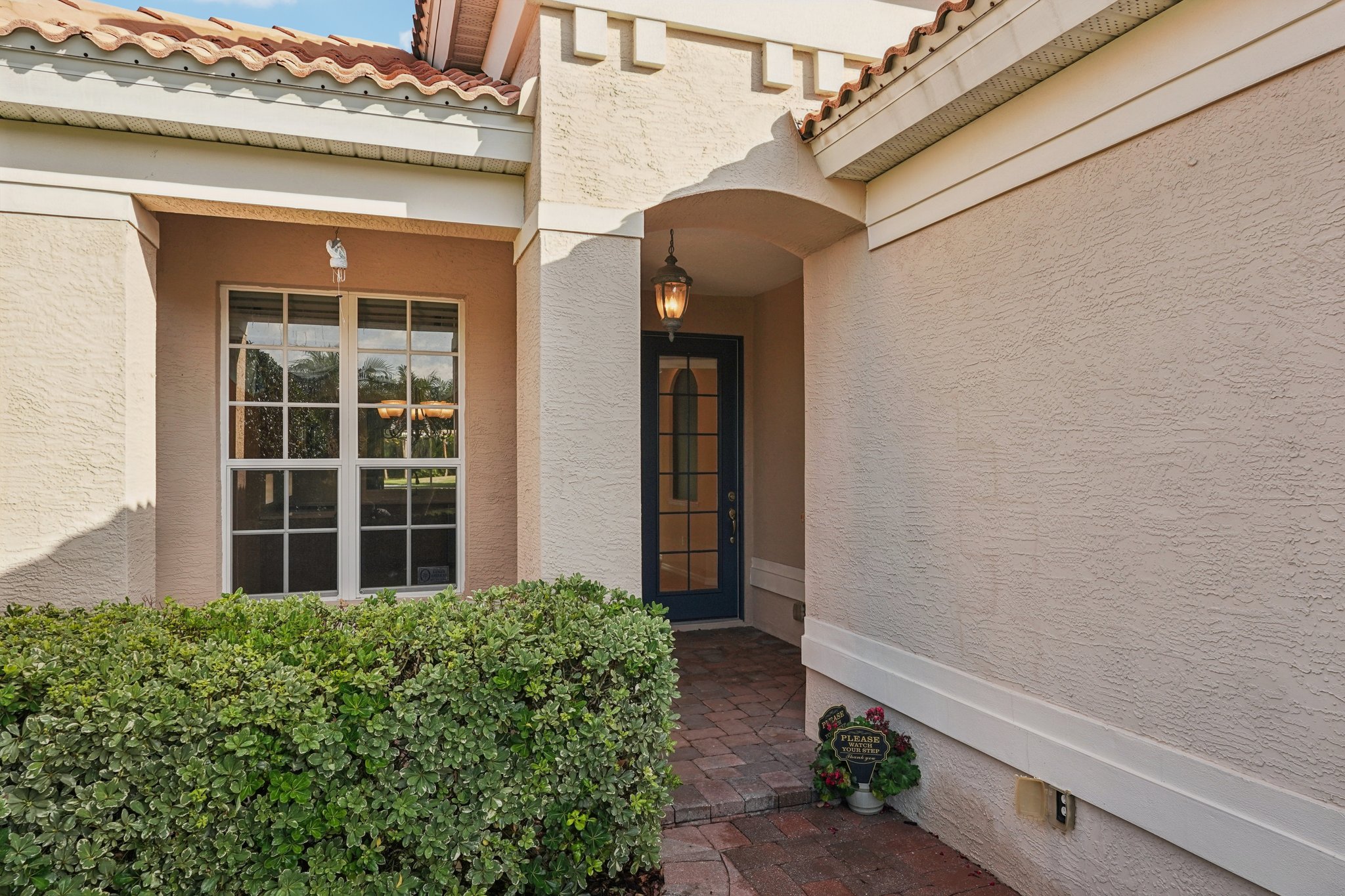 Birds Eye Ter-S1503-007.jpg