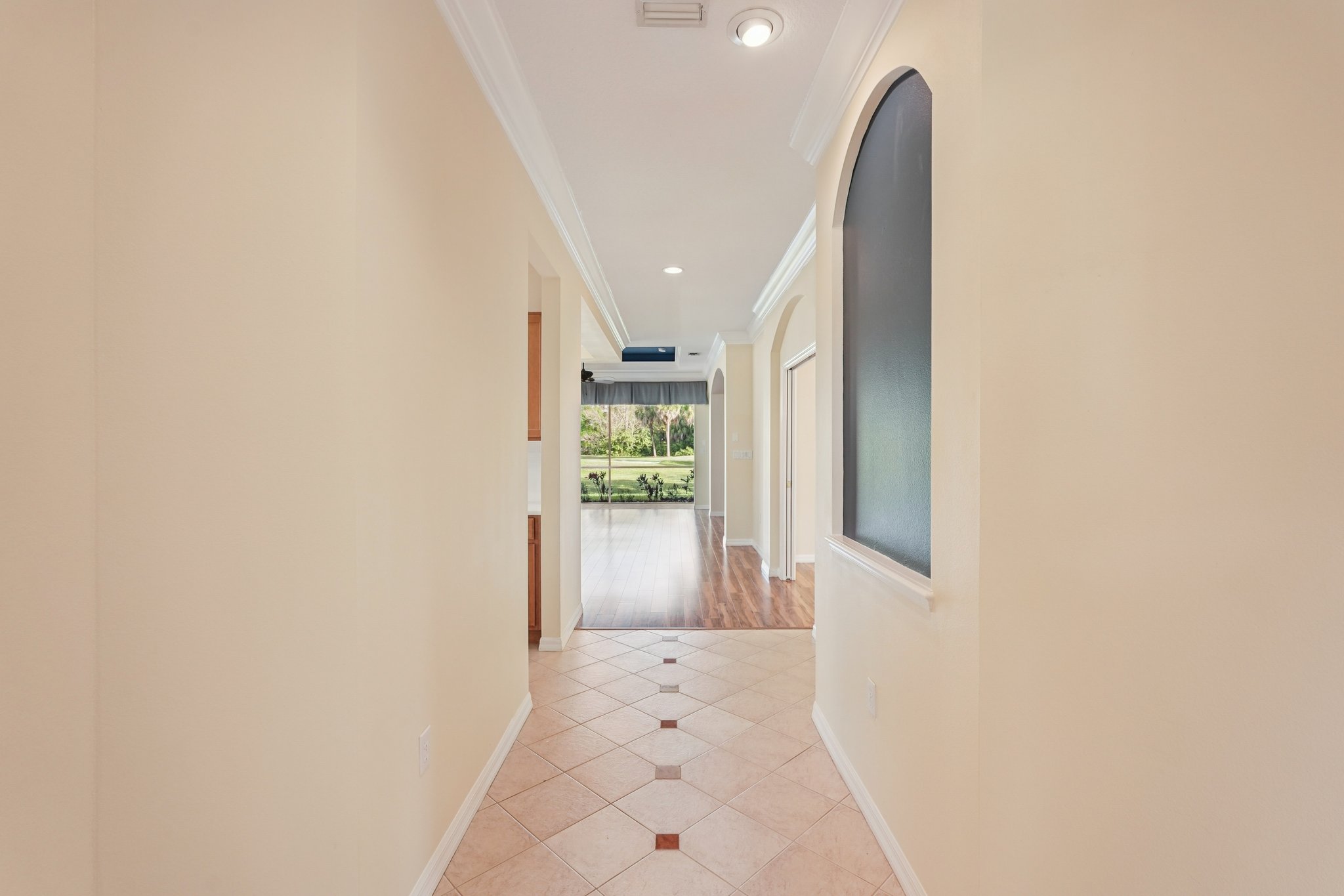 Birds Eye Ter-S1503-008.jpg