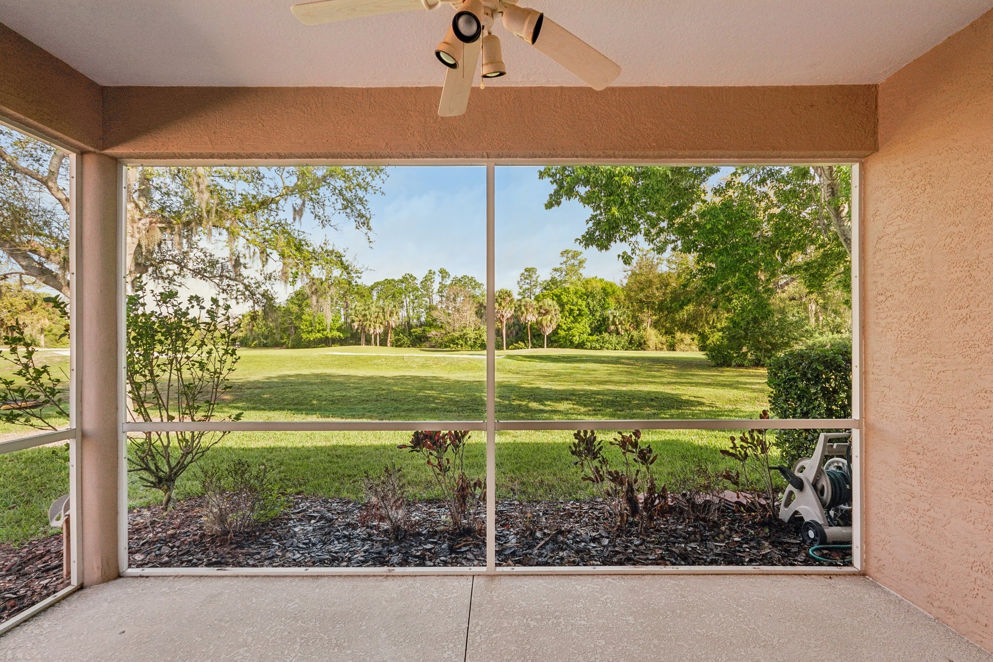 Birds Eye Ter-S1503-023.jpg