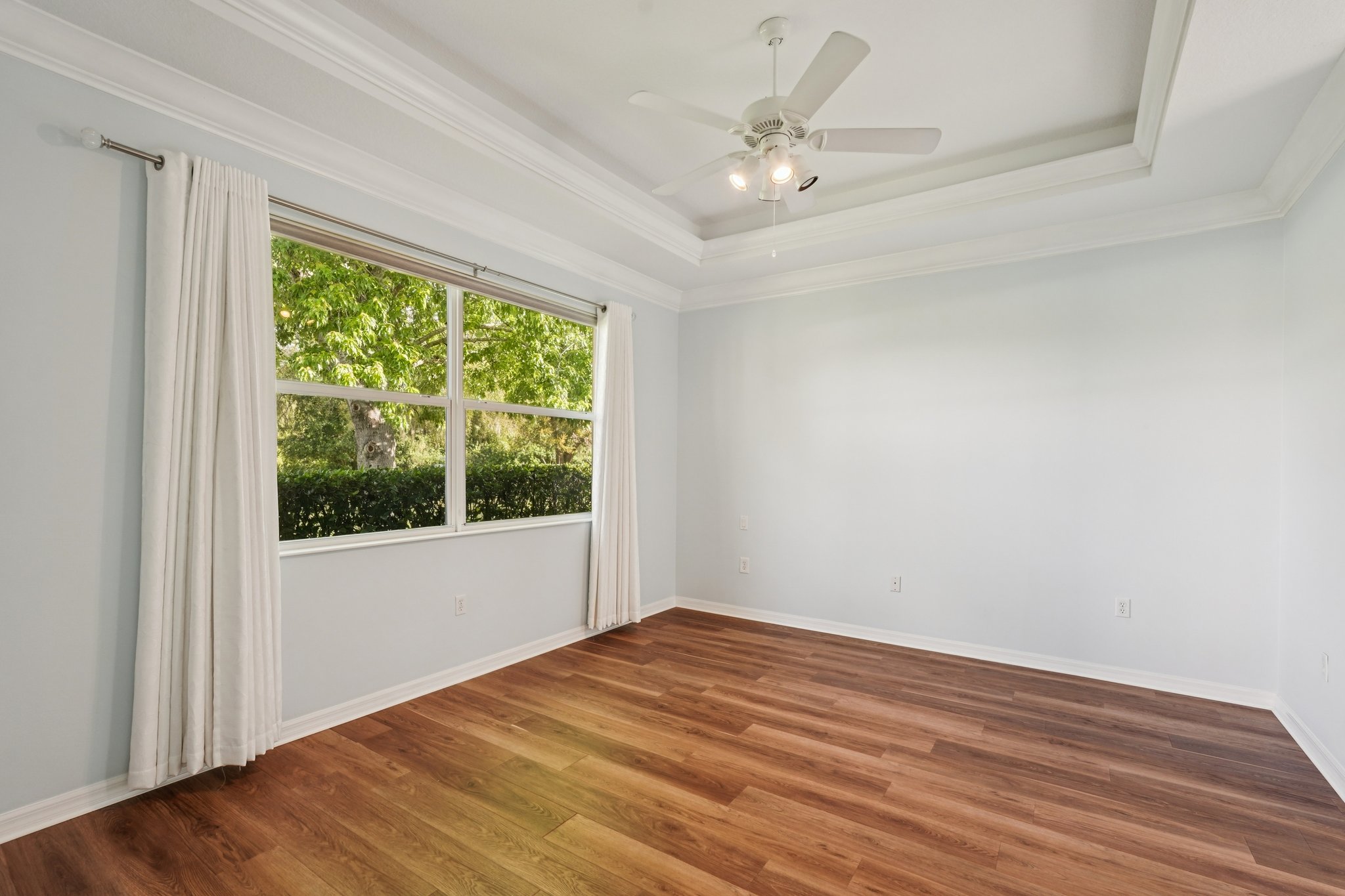 Birds Eye Ter-S1503-024.jpg