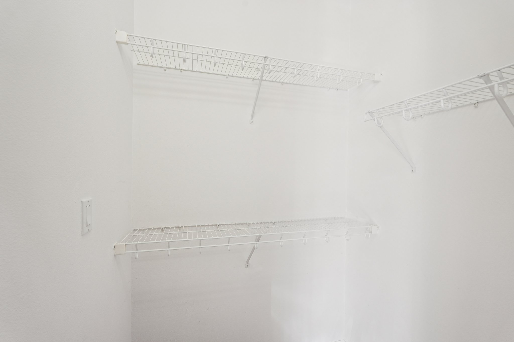 Birds Eye Ter-S1503-030.jpg