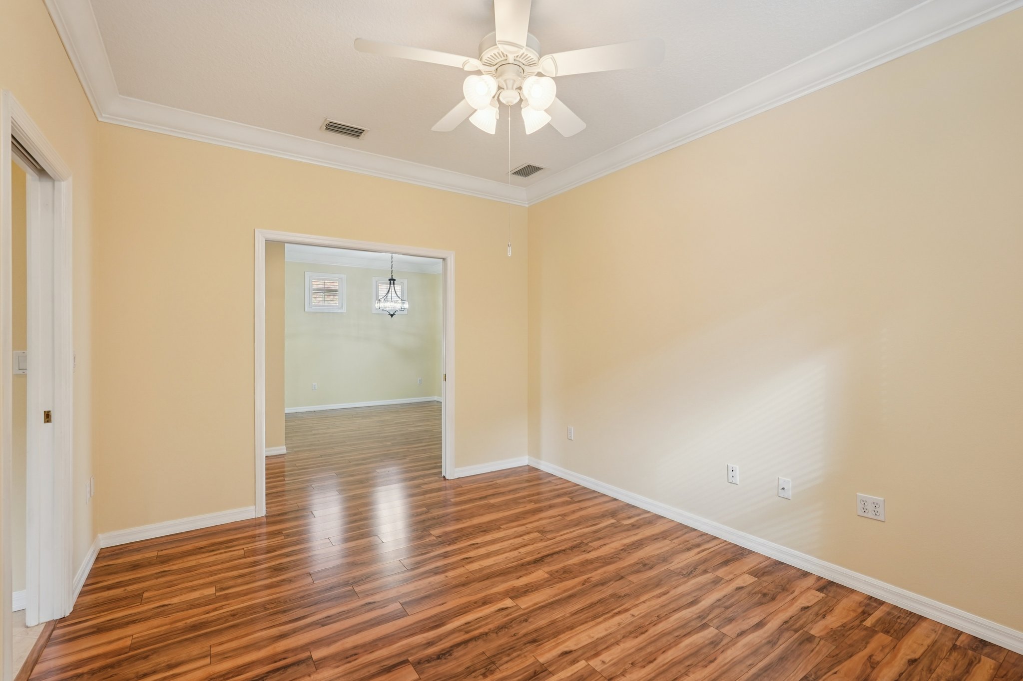 Birds Eye Ter-S1503-035.jpg