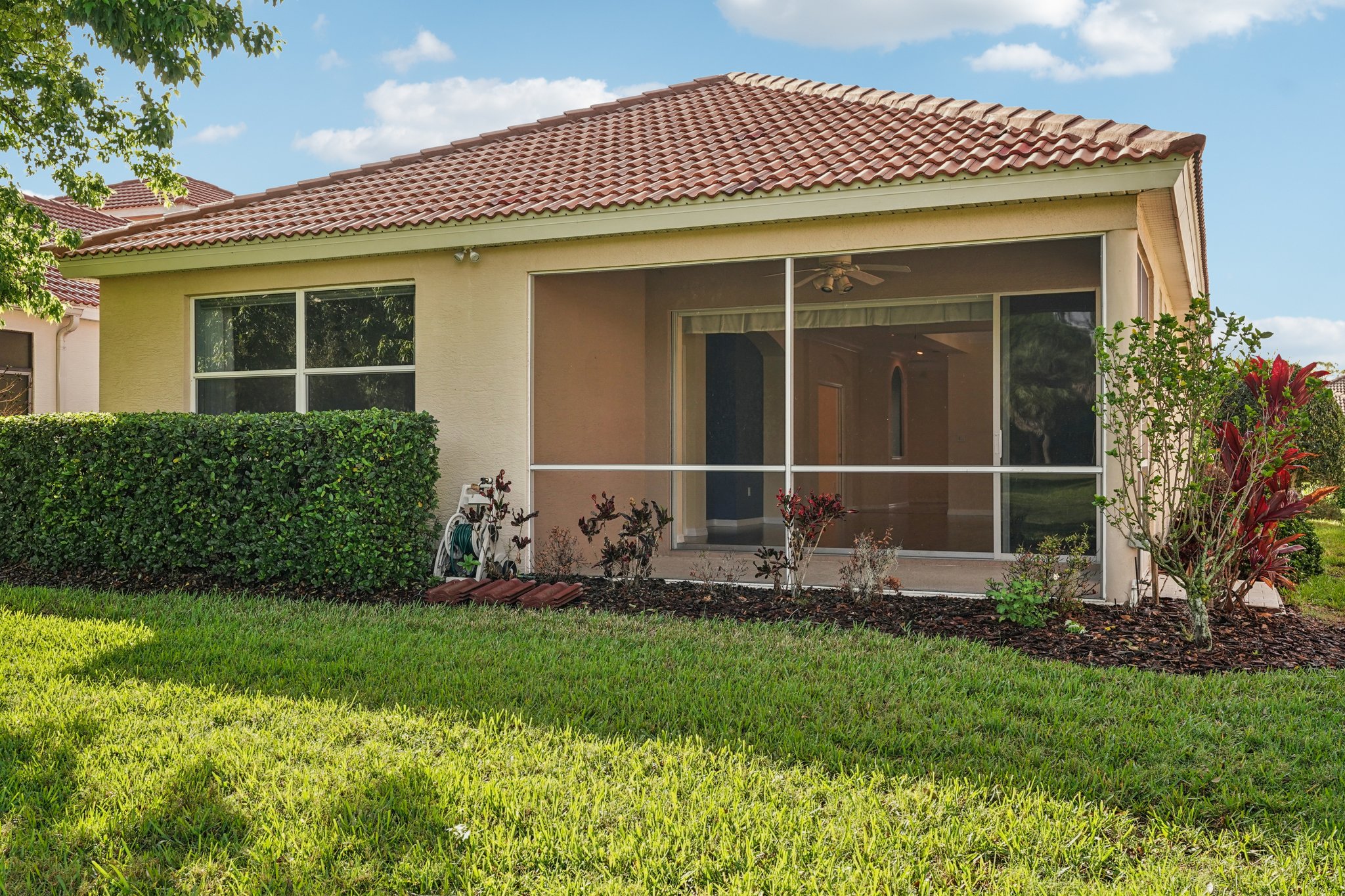 Birds Eye Ter-S1503-042.jpg