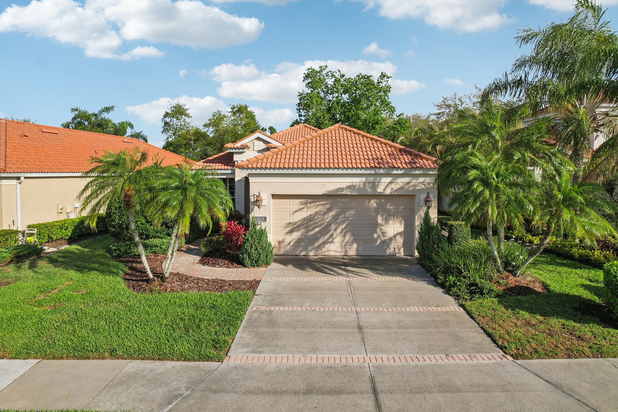 Birds Eye Ter-S1503-046.jpg