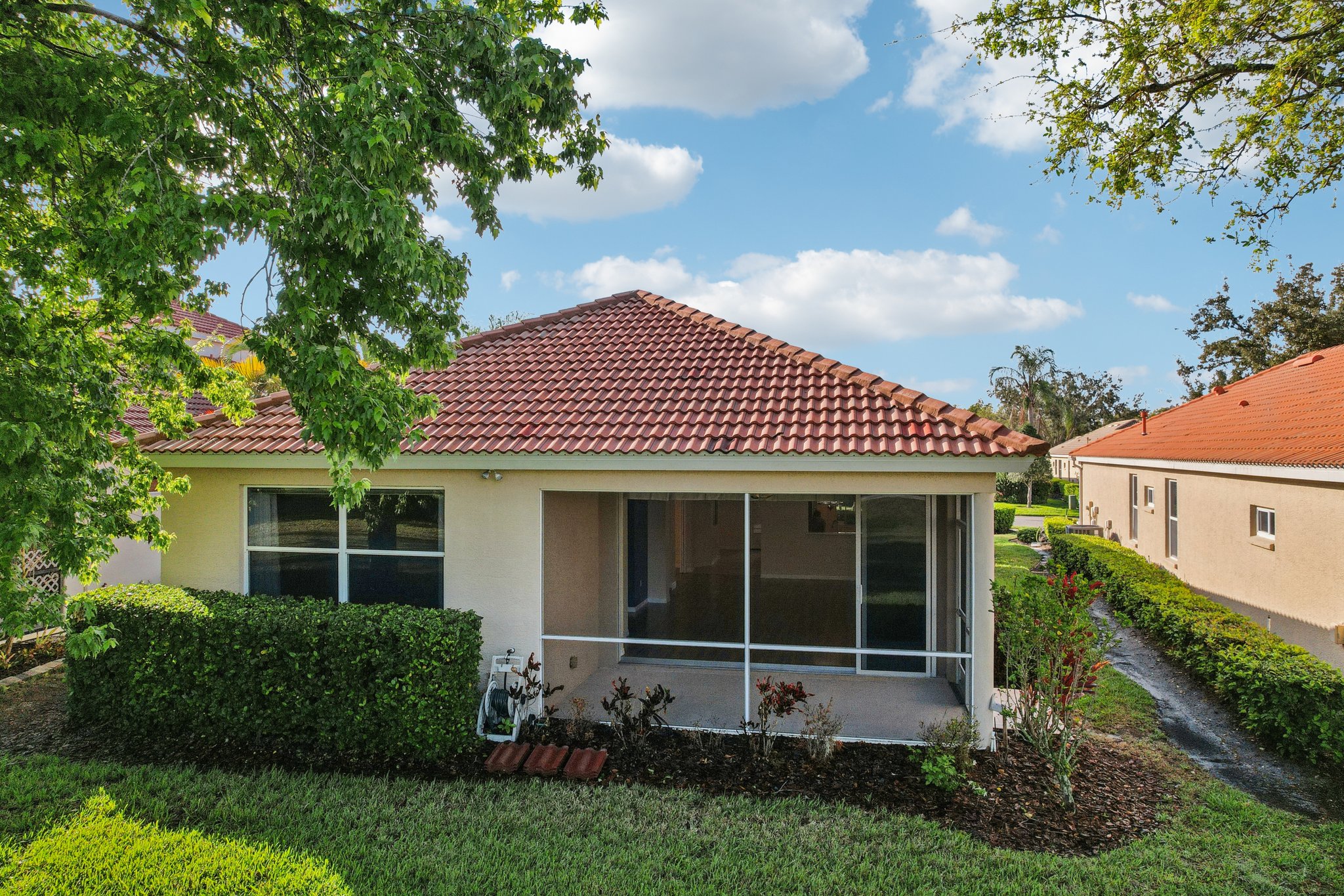 Birds Eye Ter-S1503-051.jpg