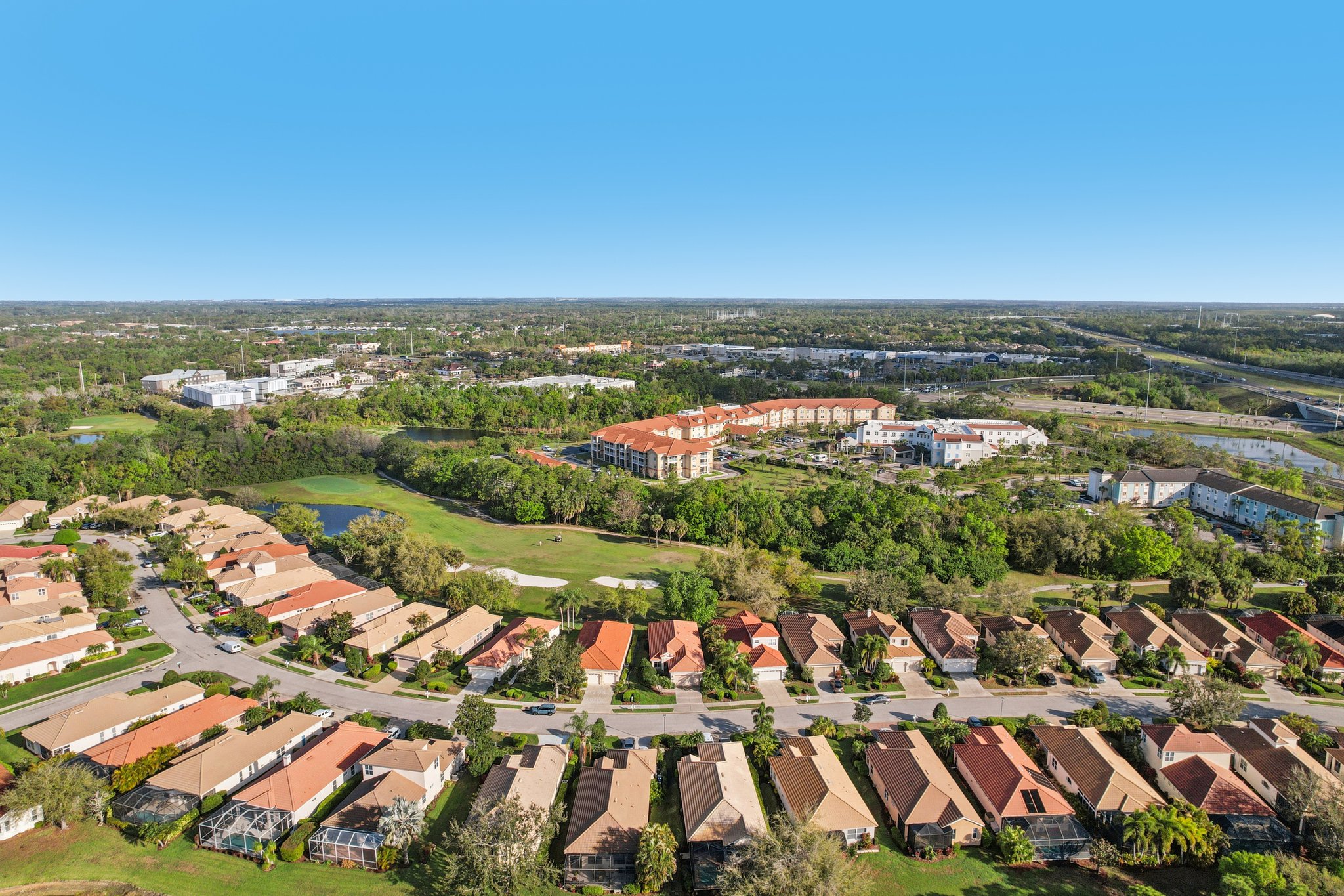 Birds Eye Ter-S1503-054.jpg