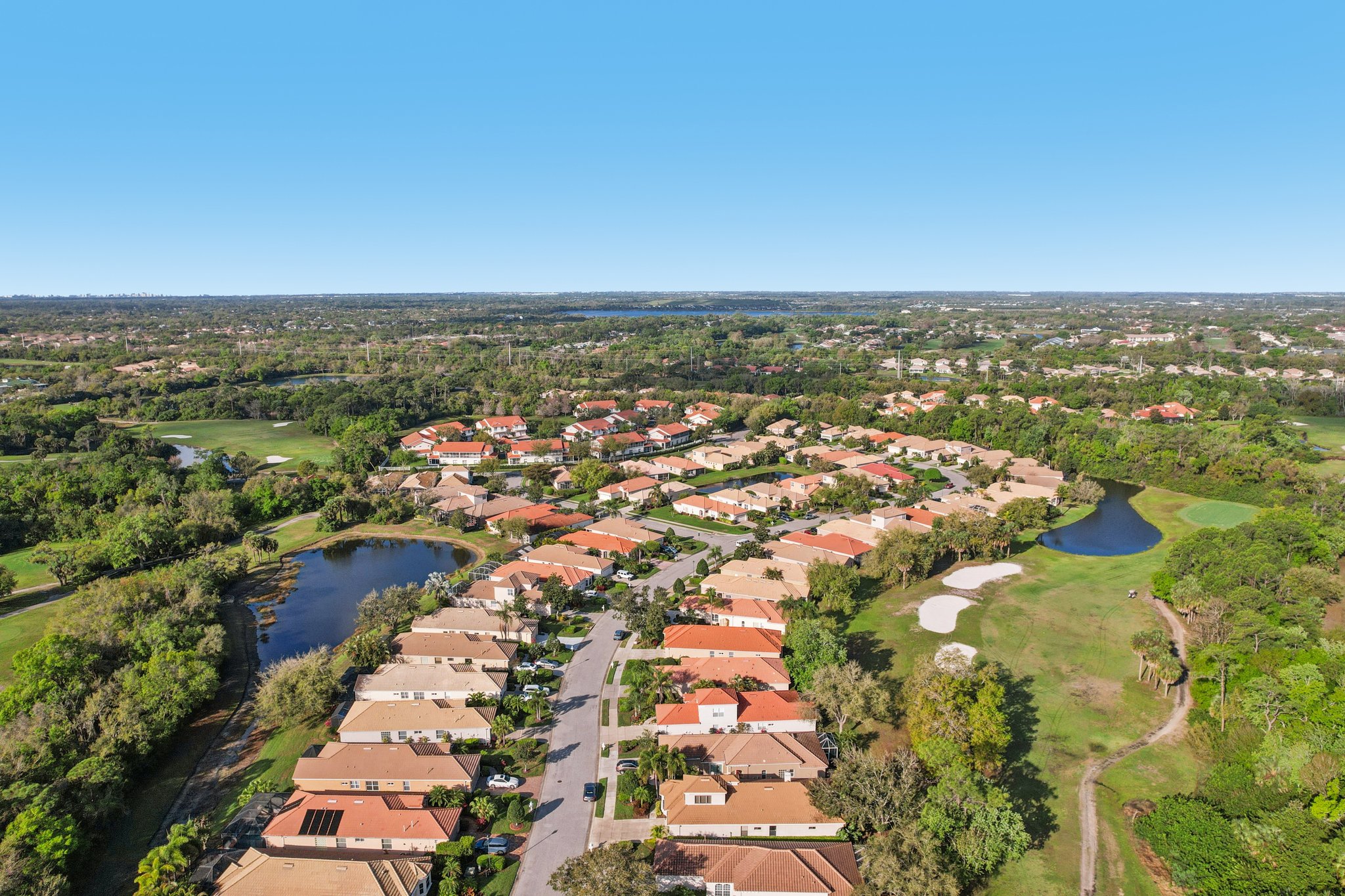 Birds Eye Ter-S1503-056.jpg