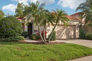 Birds Eye Ter-S1503-003.jpg