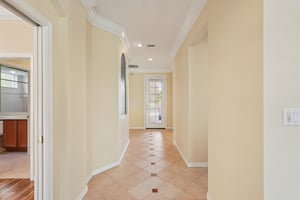 Birds Eye Ter-S1503-009.jpg